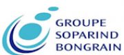 bongrain-logo